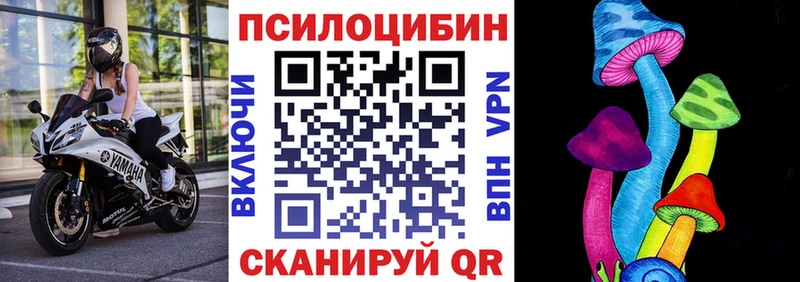купить  цена  Афипский  Псилоцибиновые грибы Psilocybe 